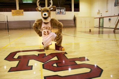 Harvey mudd college mascot stag